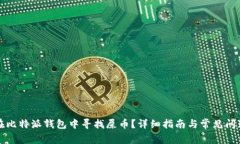 如何在比特派钱包中寻找