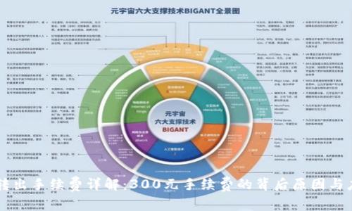 IM钱包转出手续费详解：300元手续费的背后原因与应对策略