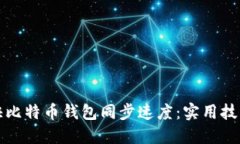 如何加快比特币钱包同步