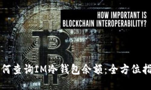 如何查询IM冷钱包余额：全方位指南