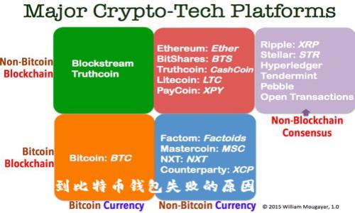  转账到比特币钱包失败的原因与解决方案