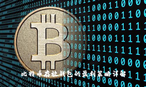 比特币存放钱包的盈利策略详解