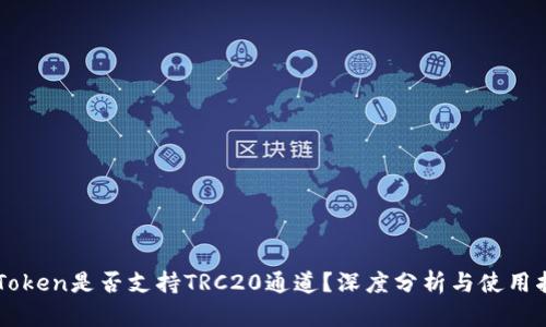 imToken是否支持TRC20通道？深度分析与使用指南