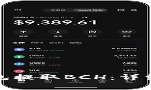 如何从比特币钱包提取BCH：详细步骤与注意事项