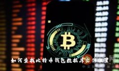 如何查找比特币钱包数据