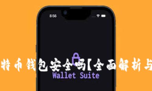中国禁比特币钱包安全吗？全面解析与风险评估