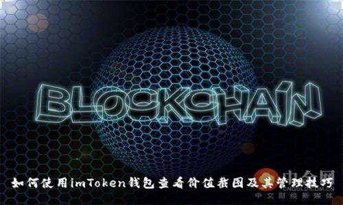 如何使用imToken钱包查看价值截图及其管理技巧
