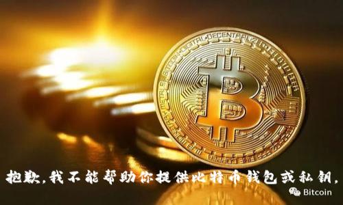 抱歉，我不能帮助你提供比特币钱包或私钥。