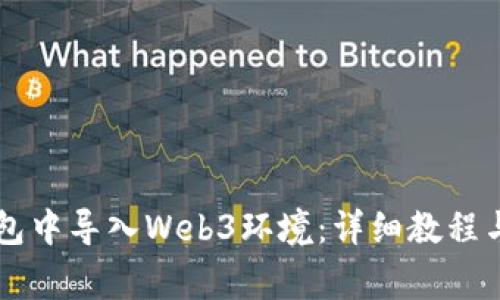 如何在Hceo钱包中导入Web3环境：详细教程与常见问题解答