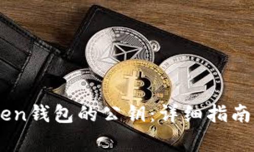 如何查询ImToken钱包的公钥：详细指南与常见问题解析
