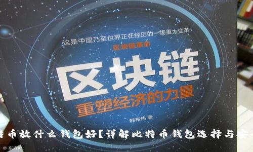 比特币放什么钱包好？详解比特币钱包选择与安全性