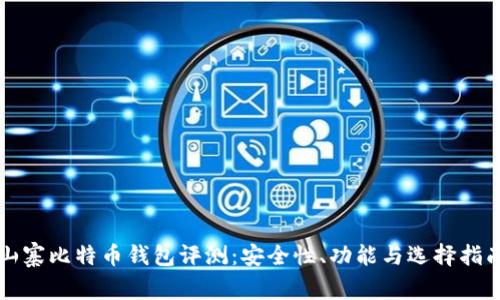 山寨比特币钱包评测：安全性、功能与选择指南
