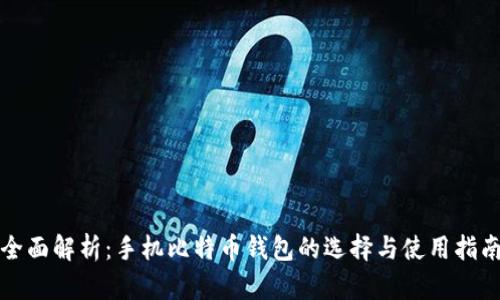 全面解析：手机比特币钱包的选择与使用指南