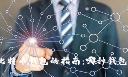 挑选最佳比特币钱包的指南：哪种钱包最适合您？