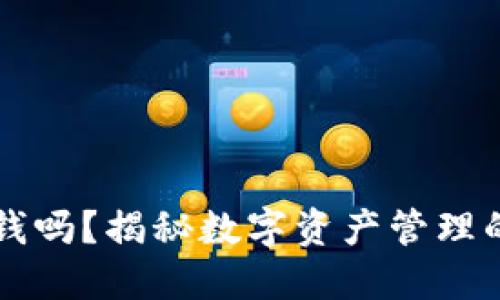 IM钱包能挣钱吗？揭秘数字资产管理的潜力与风险
