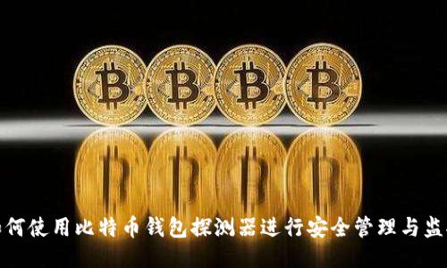 如何使用比特币钱包探测器进行安全管理与监控