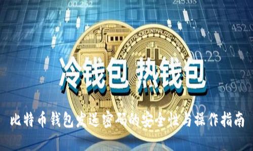 比特币钱包发送密码的安全性与操作指南