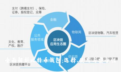 全面解析比特币钱包：选择、使用与安全性