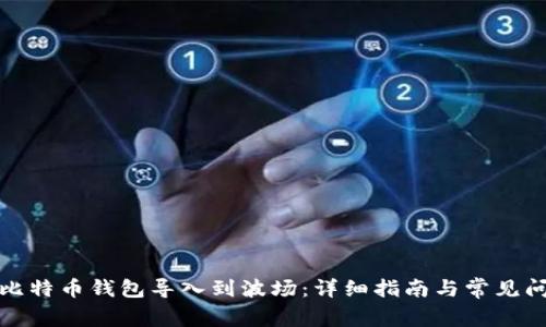 如何将比特币钱包导入到波场：详细指南与常见问题解答