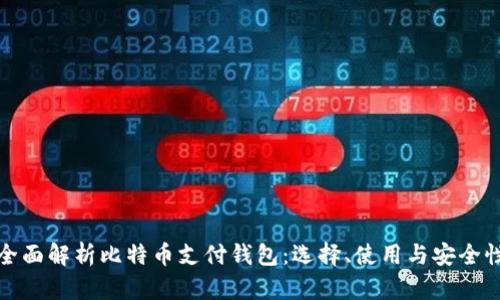 全面解析比特币支付钱包：选择、使用与安全性