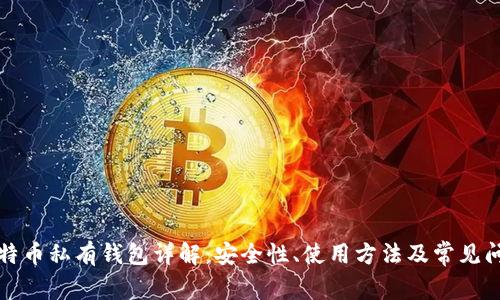 比特币私有钱包详解：安全性、使用方法及常见问题