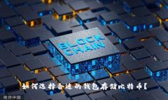 如何选择合适的钱包存储