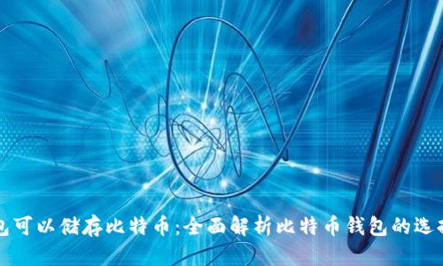 哪个钱包可以储存比特币：全面解析比特币钱包的选择与使用