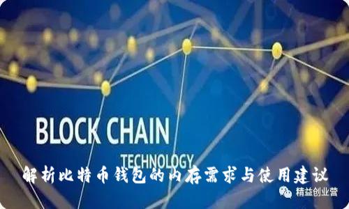 解析比特币钱包的内存需求与使用建议