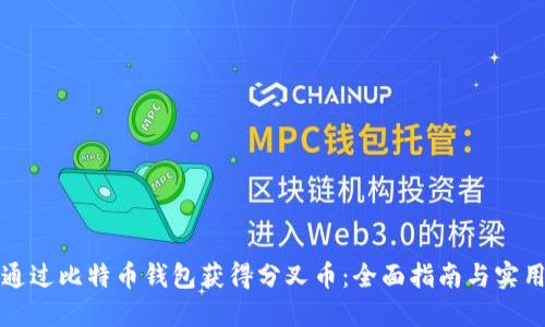 如何通过比特币钱包获得分叉币：全面指南与实用技巧