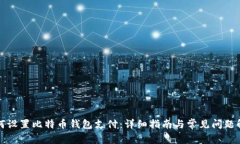 如何设置比特币钱包支付