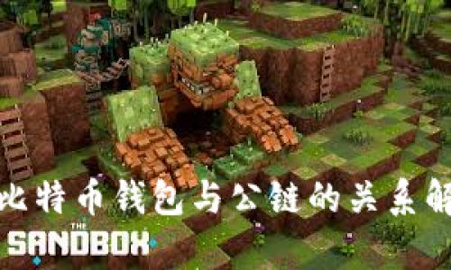 : 比特币钱包与公链的关系解析