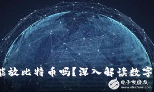  比特币钱包只能放比特币吗？深入解读数字资产存储的奥秘