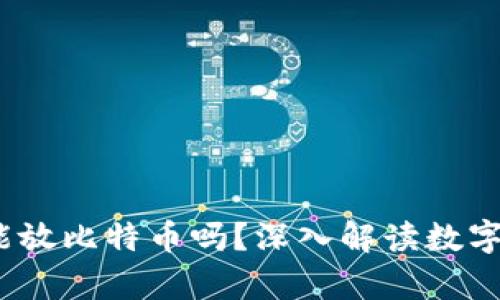  比特币钱包只能放比特币吗？深入解读数字资产存储的奥秘