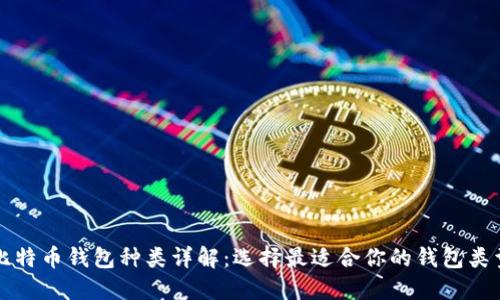 比特币钱包种类详解：选择最适合你的钱包类型