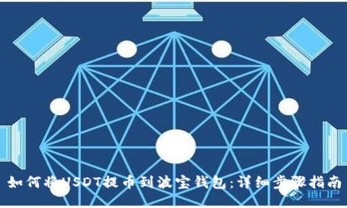 如何将USDT提币到波宝钱包：详细步骤指南