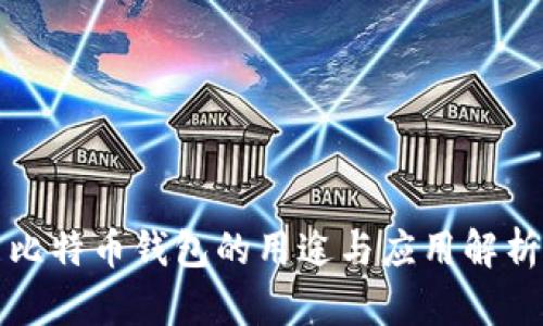 比特币钱包的用途与应用解析