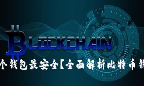 比特币存哪个钱包最安全？全面解析比特币钱包的安全性