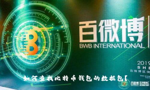 如何查找比特币钱包的数据包？