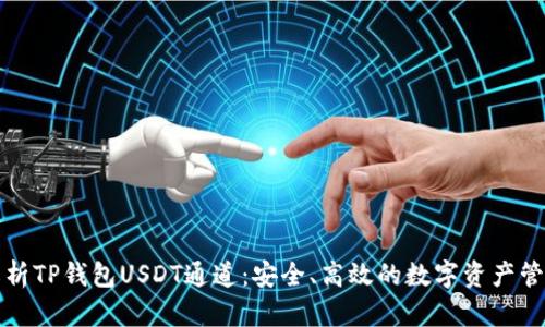 全面解析TP钱包USDT通道：安全、高效的数字资产管理工具