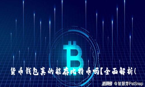 货币钱包真的能存比特币吗？全面解析！