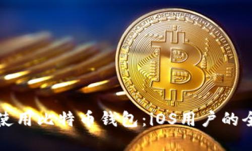 在中国区使用比特币钱包：iOS用户的全方位指南