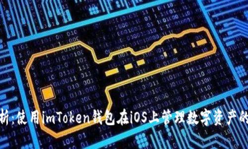 全方位解析：使用imToken钱包在iOS上管理数字资产的最佳体验