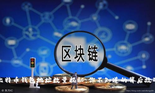 比特币钱包地址数量揭秘：你不知道的背后故事