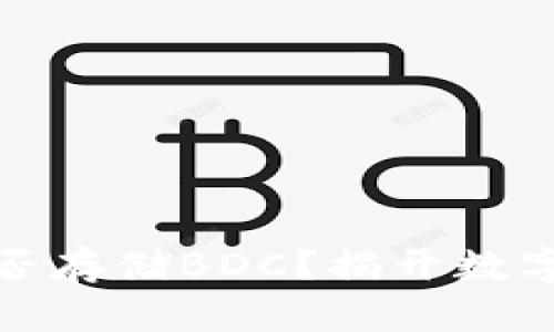 比特币钱包能否存储BDC？揭开数字货币神秘面纱