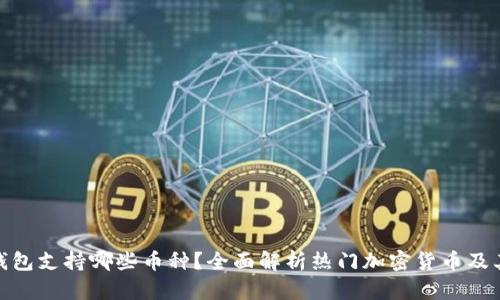 ImToken钱包支持哪些币种？全面解析热门加密货币及其投资价值