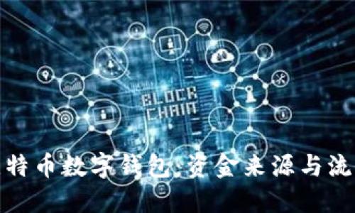 揭秘比特币数字钱包：资金来源与流动机制