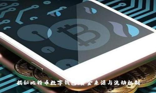 揭秘比特币数字钱包：资金来源与流动机制