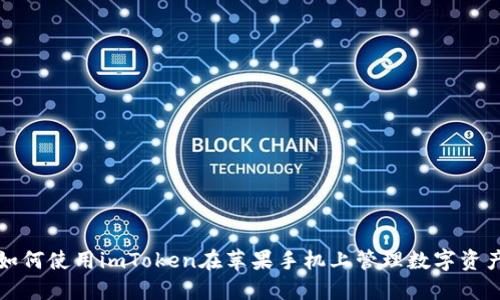 如何使用imToken在苹果手机上管理数字资产