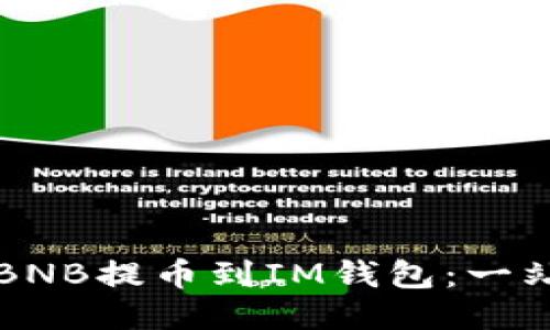 如何将BNB提币到IM钱包：一站式指南