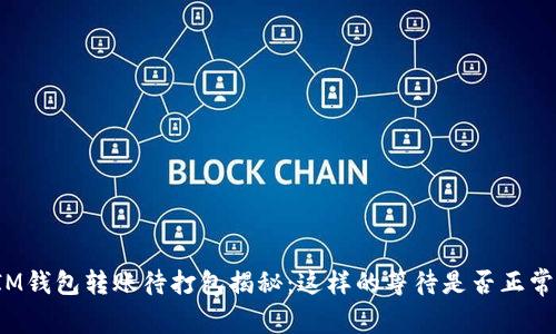 IM钱包转账待打包揭秘：这样的等待是否正常？